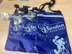 【新品未使用】東京ディズニーリゾートのバケーションパッケージ　ショルダーバッグ