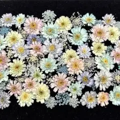 ꕤ*.゜ことり様 リクエスト 3点 まとめ商品