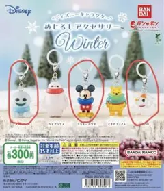 ディズニー めじるしアクセサリー Winter 3点セット