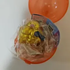 ムキムキーウィ　GOLDEN　トレーニング