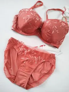 E75　トリンプゴールドレーベル ブラジャーショーツセット　プレミアム