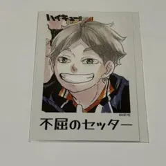 ハイキュー!! 烏野クッキー 特典 カード 菅原 東峰 まとめ売り ハイキュー!! 烏野クッキー 特典 カード 菅原 東峰 まとめ売り - メルカリ