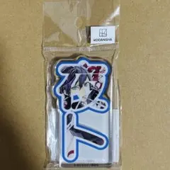 ノラガミ　原作　アクリルネームブロック　夜ト