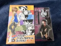 家庭教師ヒットマンREBORN! アクリルバッジ コレクション ザンザス
