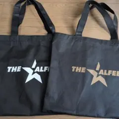 Item thumbnail for item 8f2e4859-d1f0-4827-ba62-aa233cc41209