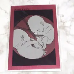 呪術廻戦 禪院 真希 真依 ポスカ