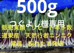 天然行者ニンニク スーパーフード 終了間近　値下げ中