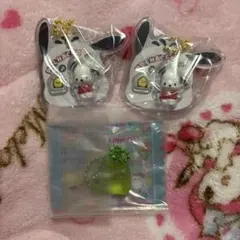 ポチャッコ パッケージチャーム×2 グミチュアチャーム サンリオ