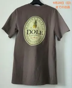 【最終】DOLE Plantation 半袖 Tシャツ ブラウン Sサイズ