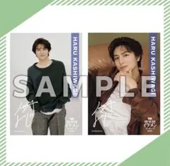 超特急 ハル 柏木悠 ランキング入り記念グッズ オンラインくじ ブロマイド