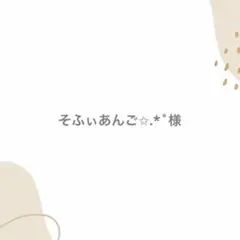 そふぃあんご✩.*˚様