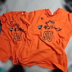 Item thumbnail for item edaf3d8b-32ee-4c47-93fd-3d1ae132f606