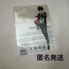 天野明展 来場者特典 クリアカード 雲雀恭弥