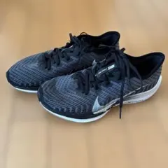 中古　Nike Zoom ペガサスTURBO2 24.5cm