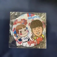 埼玉西武ライオンズ炭谷銀仁朗Peko ちゃんイラストコラボバッジ 直径約7cm