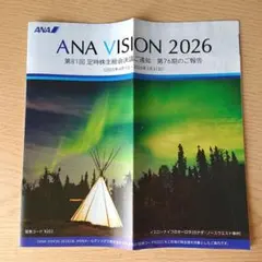 ANA VISION 2026 第81回定時株主総会決議ご通知のサムネイル