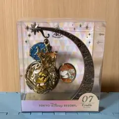 東京ディズニーランド　40周年　モーメンツゴーラウンドのサムネイル