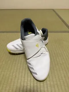 adidas ゴルフシューズ【USED】25.５