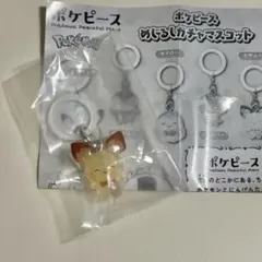 ポケピース ガチャ めじるしアクセサリー