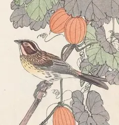 Item thumbnail for item 6f13a1e9-1a95-415b-b13f-6aed116a9157