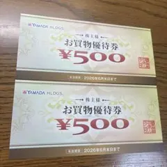 YAMADA HLDGS. お買物優待券 ¥500✖️2枚