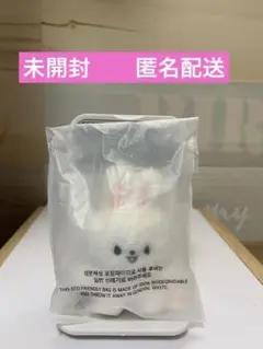 SKZOO KEYRING MICRO VER - Leebit