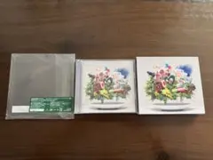 Mrs. GREEN APPLE CD DVDの2枚セット
