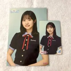 日向坂46 Love yourself! HMV特典 正源司陽子