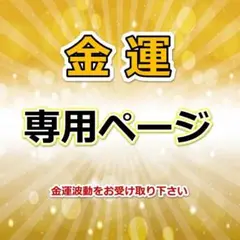aha様【専用ページ】感謝割＆金運還元あり　全７品
