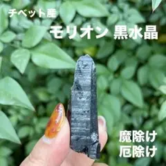 ヒマワリ様 リクエスト 2点 まとめ商品