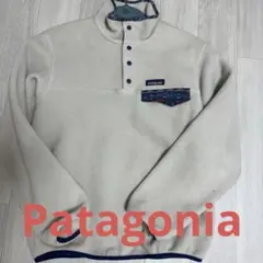 パタゴニア　シンチラスナップT
