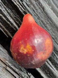 mame-craft：プロフ必読！様 リクエスト 2点 まとめ商品