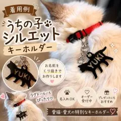 우치노코 실루엣 아크릴 키체인