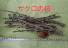 Item thumbnail for item fd0c9b9c-7858-44e7-9fef-3cb75d0cf105