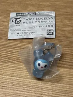 TWICE LOVELYS めじるしアクセサリー ナヨン　ナブリー