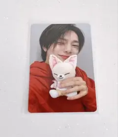 skzoo zootopia スキズ ズートピア アイエン MD トレカ 特典