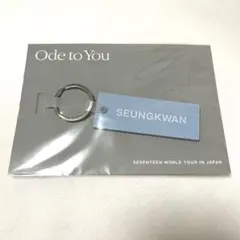 SEVENTEEN スングァン ラバーキーリング ode to you