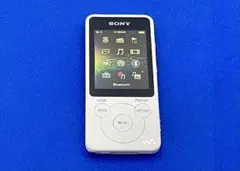 バッテリー絶好調！　外観概ね美品　SONY WALKMAN NW-S14 8GBのサムネイル