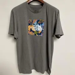 THE NORTH FACE フラワーパターンTシャツ グレー L