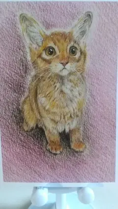 手描きイラスト ポストカード 子猫(ソマリ)