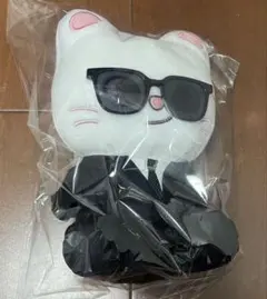 Stray Kids Jiniret エコパ ヒョンジン未開封新品 - メルカリ