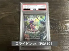 2026年最新】コライドンex sar psa10の人気アイテム - メルカリ