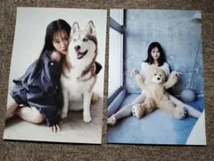 (封入2枚) 山下美月 写真集 ポストカード