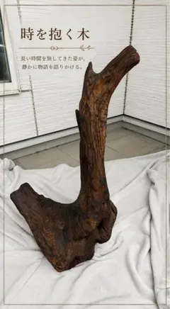 栗の木の椅子（98）栗の杢目が綺麗ですよ 脚は安定感の3本脚で自然な