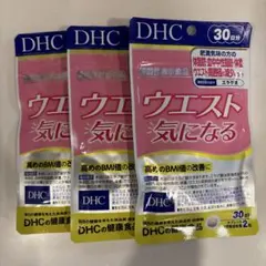 DHC ウエスト気になる 30日分 × 3袋のサムネイル