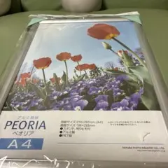 PEORIA A4 フォトフレーム