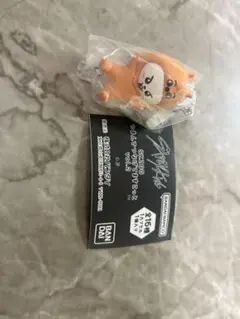 SKZOO つまんでますこっと Leebit