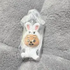 StrayKids SKZOO つまんでつなげてますこっと リービット クオッカ