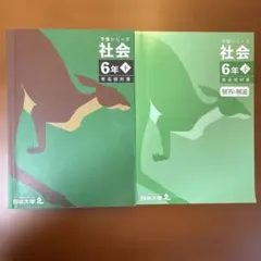 四谷大塚 予習シリーズ 理科 6年 下 有名校対策 - メルカリ