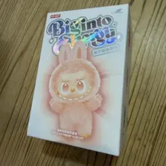 2026年最新】POPMart labubu シークレットの人気アイテム - メルカリ